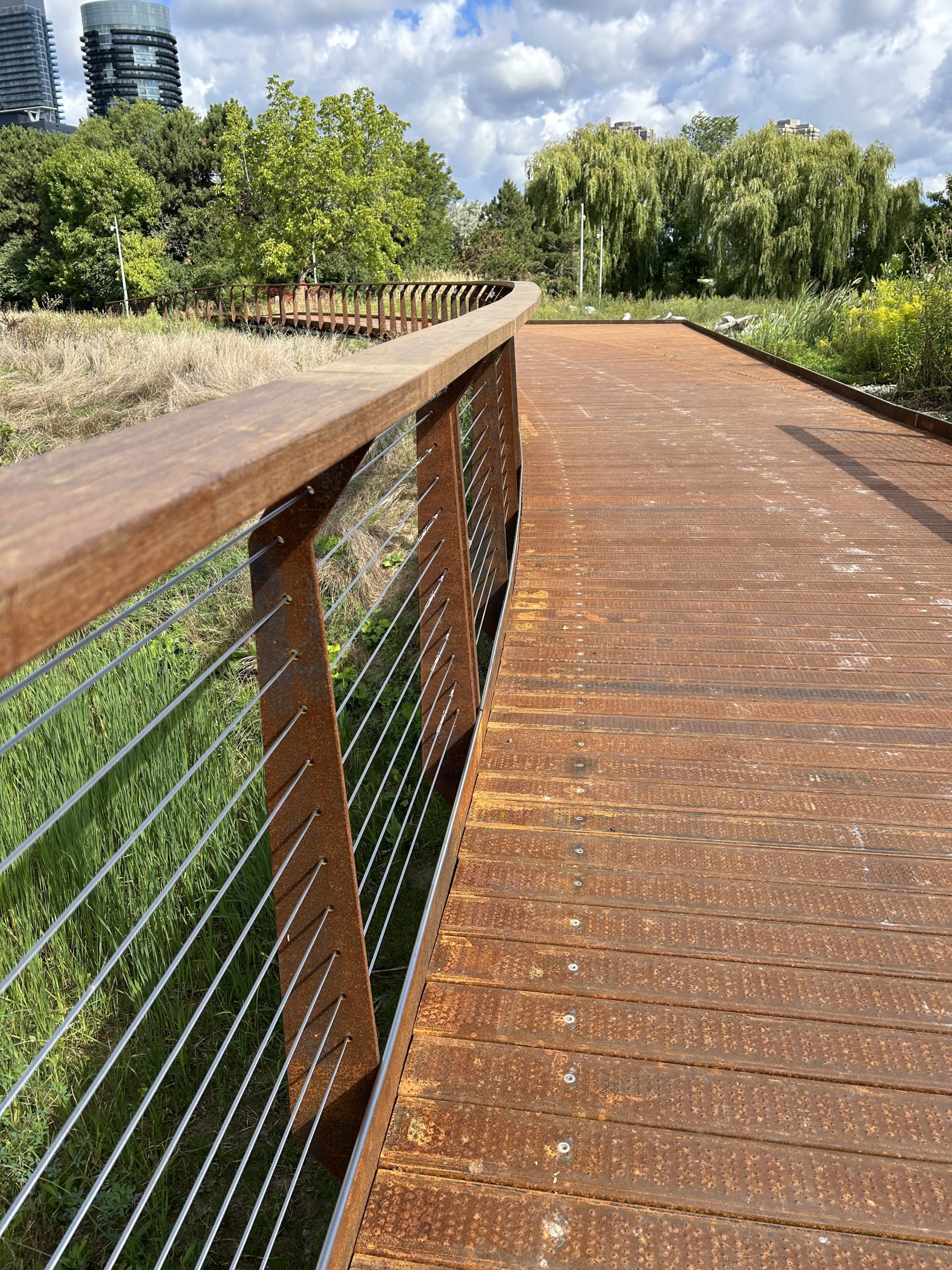 View along a metal boardwalk with a wooden handrail and horizontal cabling visible on the left side. The boardwalk curves through a vegetated marsh area with tall grasses and trees.