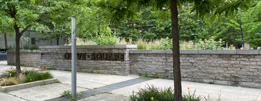 Tree-lined urban plaza with a paved walkway, low stone wall, and landscaped planters; the words “OLIVE SQUARE” are visible on the stone wall, with greenery and surrounding buildings in the background.