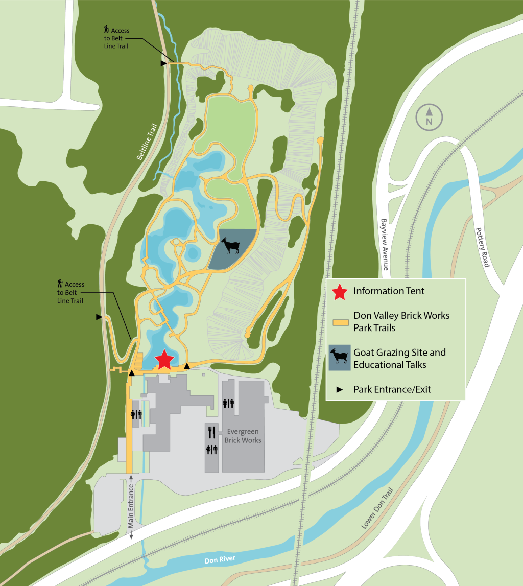Map of the 2026 goat grazing project, showing the Beltline Trail, the Don River and Lower Don Trail to the south, and Pottery Road and Bayview Avenue to the east. The corresponding legend shows a goat grazing site and educational talks with a black goat icon, the information tent with a red star icon, the Don Valley Brick Works Park Trails with a solid yellow line and the park entrance/exit with black right-facing arrow. 