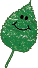 Green icon image for kids vote weekend of a paper birch leaf with a cartoon-like smiley face.