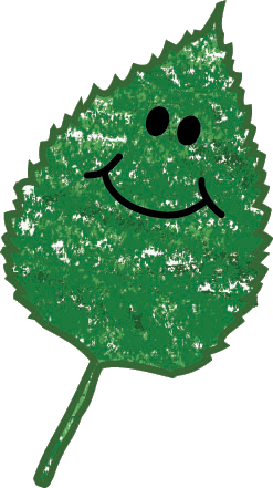 Green icon image for kids vote weekend of a paper birch leaf with a cartoon-like smiley face.