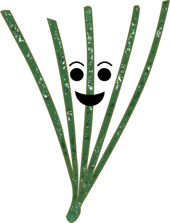 Green lines icon image for kids vote weekend of a white pine needles with a cartoon-like smiley face. 