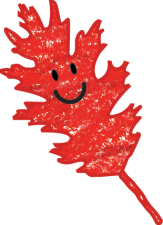 Red icon image for kids vote weekend of a red oak leaf with a cartoon-like smiley face that is winking. 