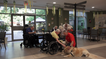 Residents gathered in a common area interacting with a therapy dog lying on the floor, while staff provide support nearby.