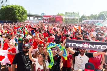 large crowd of fans enjoying themselves at FIFA Fan Festival
