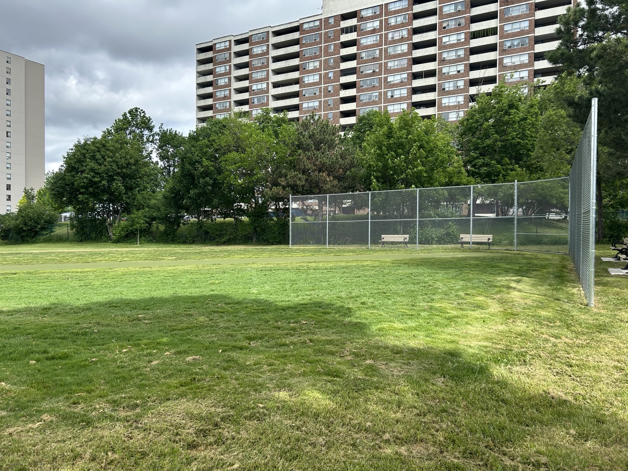 Photo of new single-direction cricket pitch with backstop at Parma Park. 