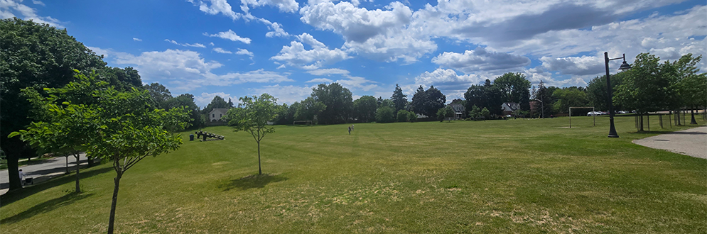 The proposed location for the new basketball court at Park Lawn Park.
