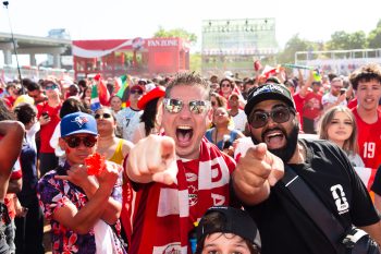 large crowd of fans enjoying themselves at FIFA Fan Festival