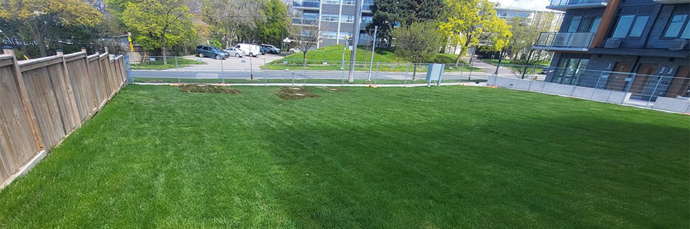 Wide view of a freshly mowed green lawn in a landscaped urban park area. A wooden privacy fence lines the left side, while a modern multi-storey residential building stands on the right. Across a street in the background are apartment buildings, parked vehicles, and mature trees with spring foliage. The scene is brightly lit under a blue sky with scattered white clouds.