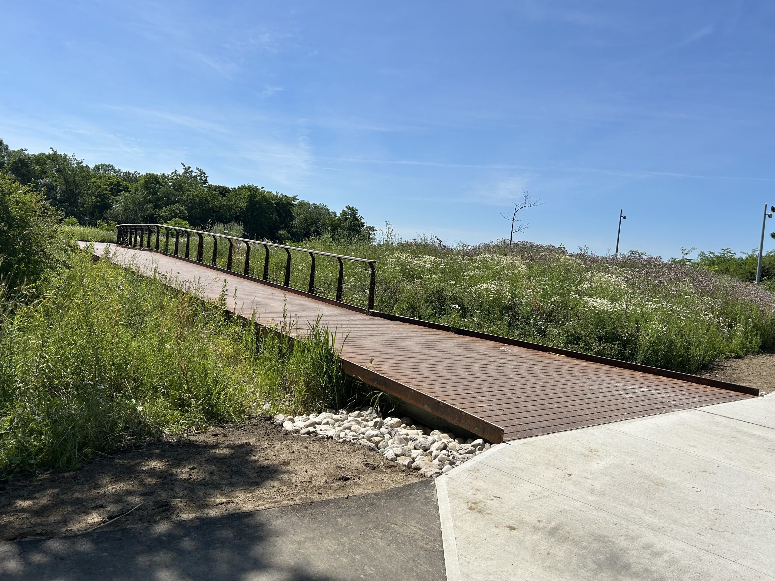 A boardwalk with handrails on one side extends through a meadow of tall grasses and wildflowers. The boardwalk connects to a paved area in the foreground. Trees are visible in the background.