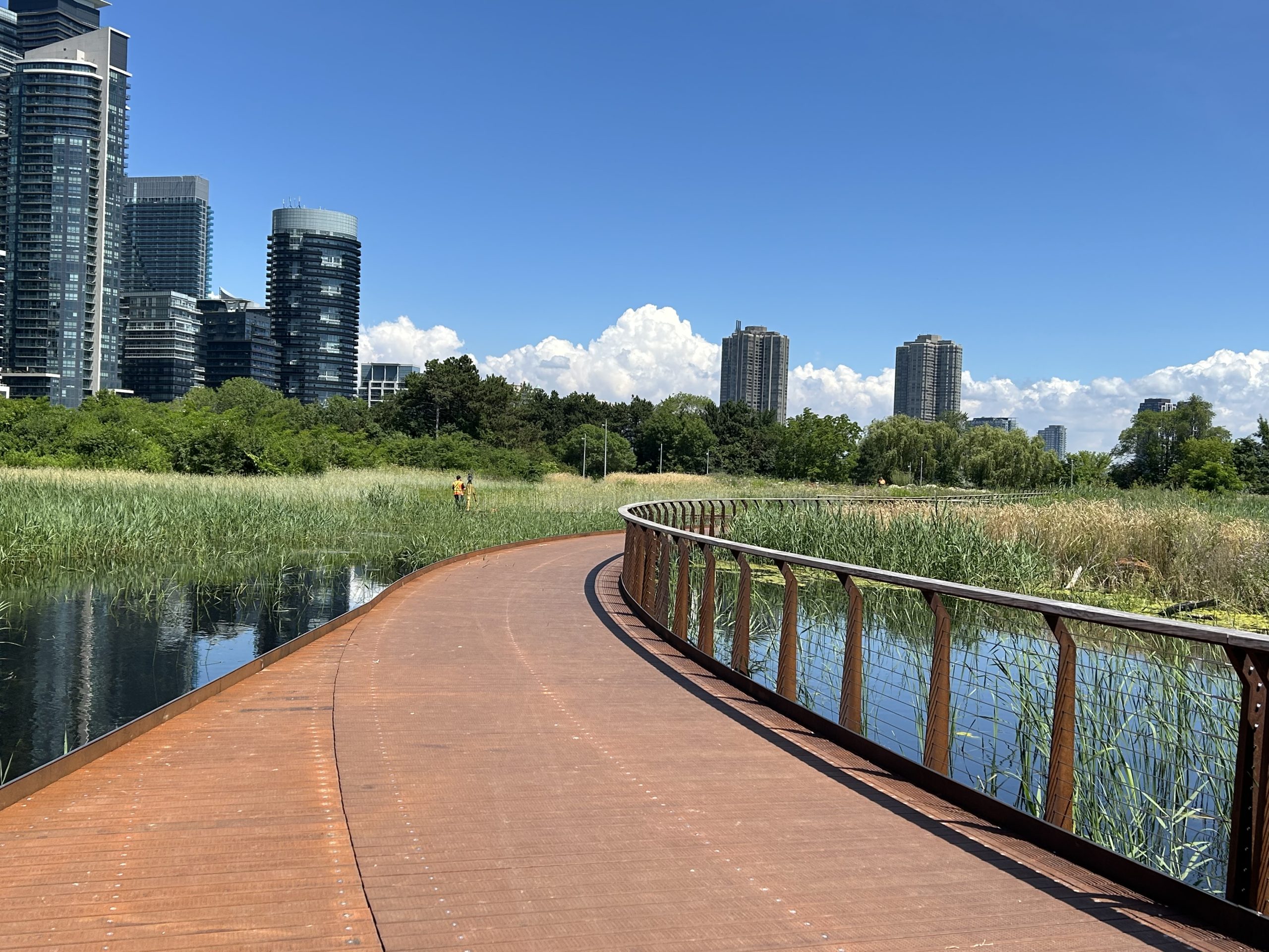 A metal boardwalk curves through a wetland area. The boardwalk has handrails with horizontal cabling on one side. Trees and tall buildings are visible in the background.