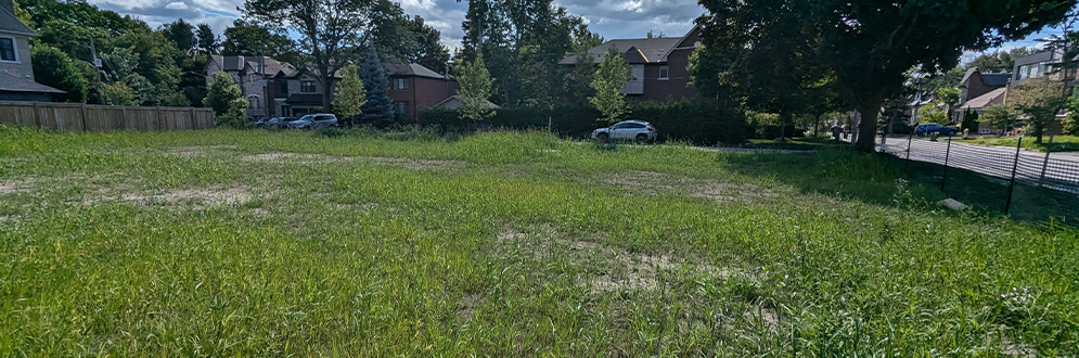Photo of existing open grass field that will be included in the expanded area. A few houses and trees are visible in the background past the field.