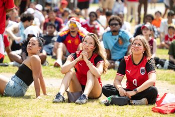 Audience members sit on grass. Two in foreground wear Austria soccer jerseys and have Austrian flags painted on their cheeks.