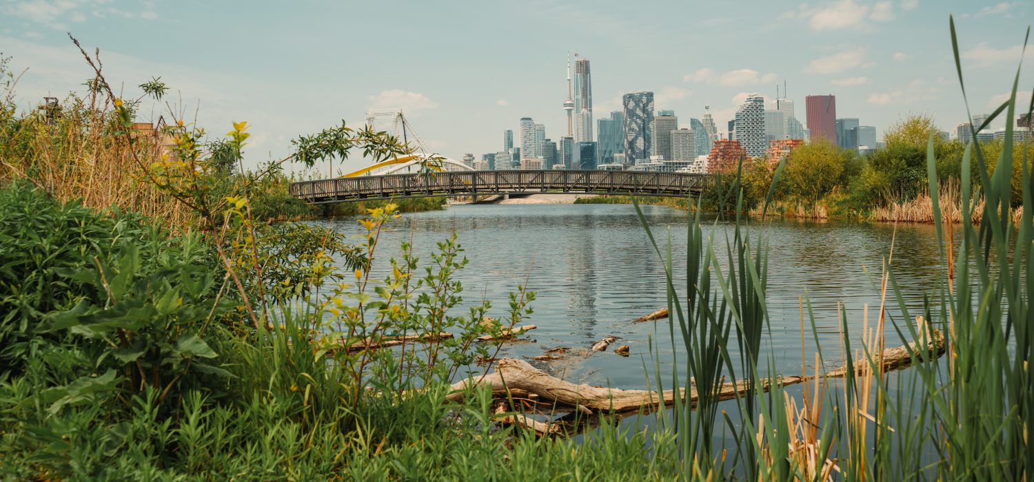A scenic area with a bridge over a river with greenery and Toronto's downtown in the far background.