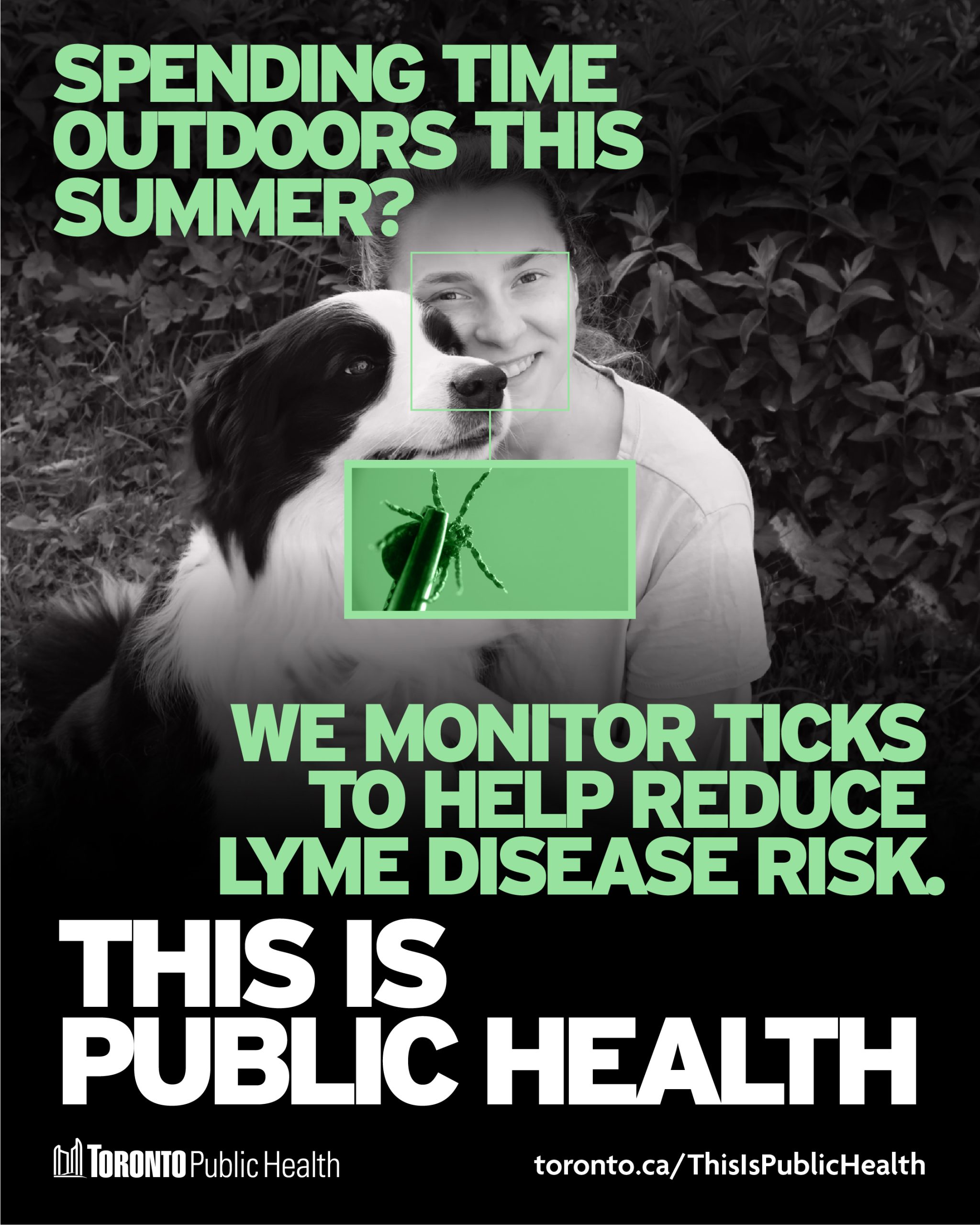 This is public health poster with "we monitor ticks to help reduce lyme disease risk" in bold letters