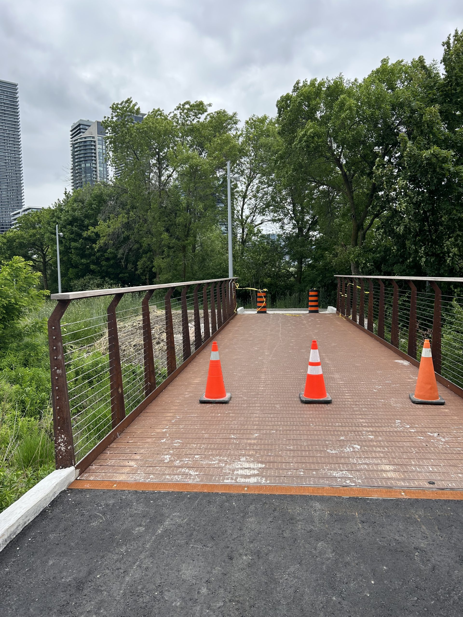 A bridge with pylons and mature trees in the background. 