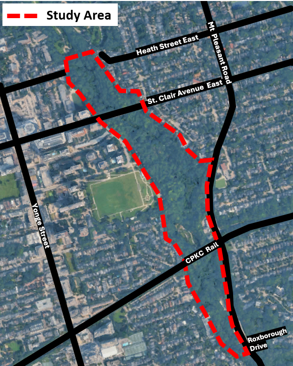 A satellite map of the study area, which is shown in a red dotted line. The study area is a heavily treed area of ravine West of Mount Pleasant stretching from Heath Street in the North to Roxborough Drive in the South.