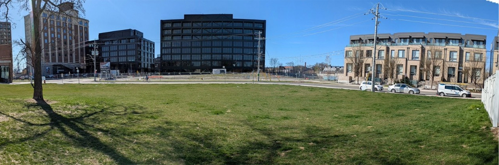 Photo of existing grass field with single tree in the middle, which will become the new park. In the background are surrounding buildings.