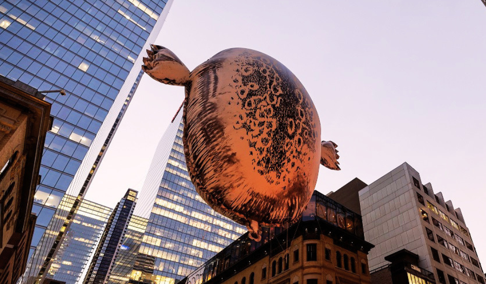 Helium harbour seal balloon in front of cityscape