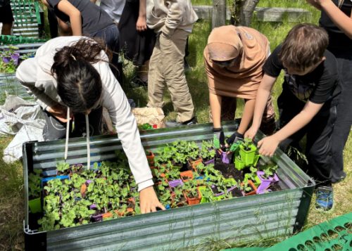 Children arranging plants in a large planter box.