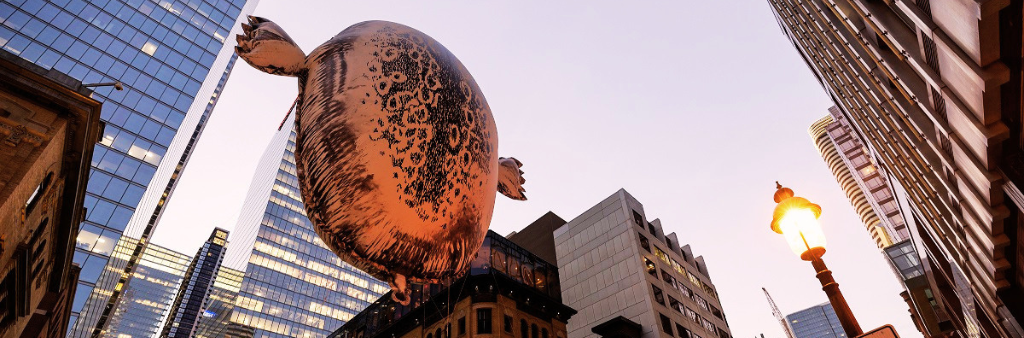 Helium harbour seal balloon in front of cityscape