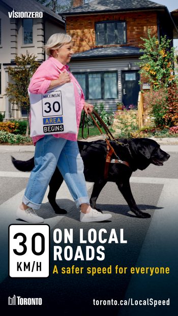Vision Zero campaign ad promoting 30 km/h on local roads as a safer speed for everyone. A woman is walking her dog while crossing a street. A "Maximum 30 Area Begins" road sign is overlaid on the shopping bag of the woman.