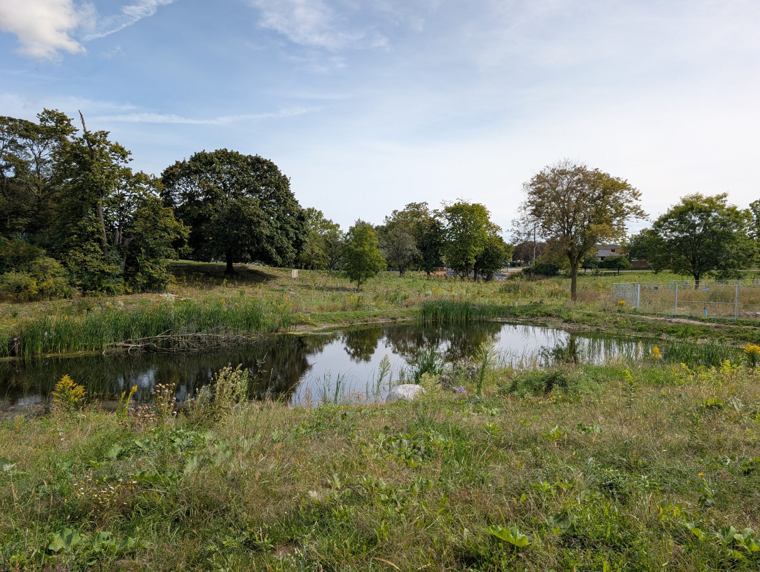 A naturalized landscape featuring a pond surrounded by native grasses, reeds and wildflowers. Mature trees and open meadows extend across the background. A section of temporary fencing is visible on the right side.