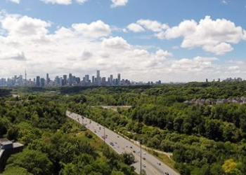 Toronto skyline with CN Tower, highway and trees.