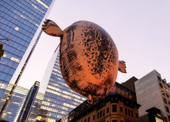 Helium harbour seal balloon in front of cityscape.
